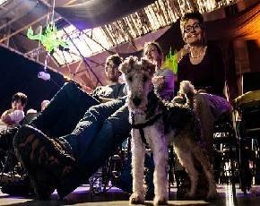 Young rewired state - dog.jpg
